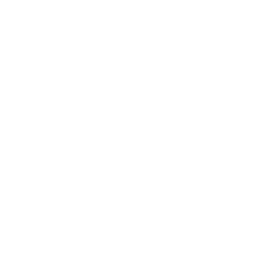 aquarium-octopus