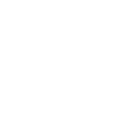 bird-facing-right